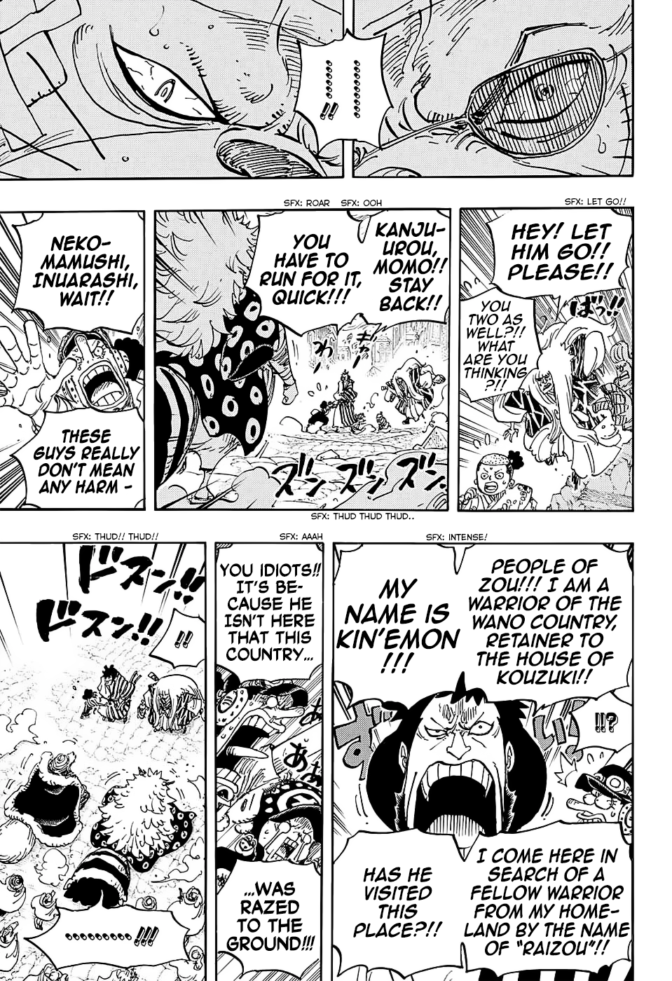 One Piece, Chapter 816 image 14